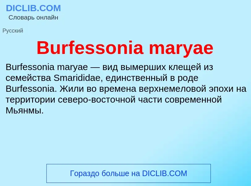 Τι είναι Burfessonia maryae - ορισμός