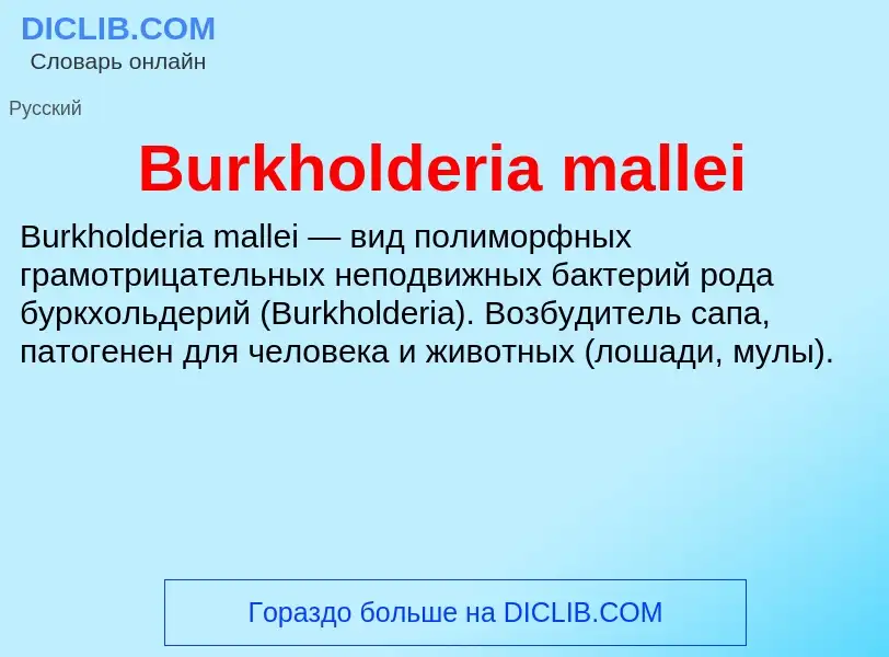 Что такое Burkholderia mallei - определение