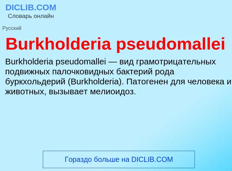 Τι είναι Burkholderia pseudomallei - ορισμός