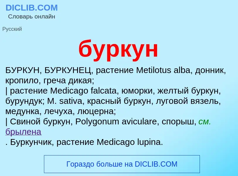 Was ist буркун - Definition