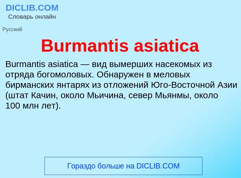 Что такое Burmantis asiatica - определение