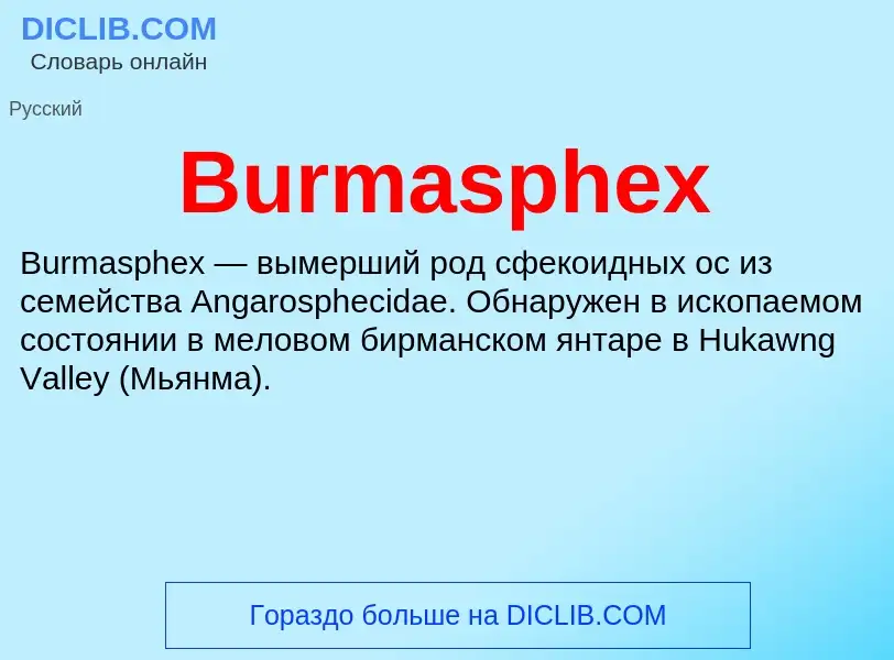 Что такое Burmasphex - определение