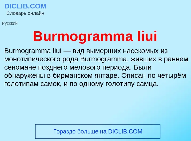 Что такое Burmogramma liui - определение