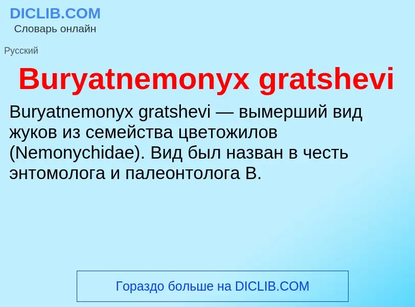 Τι είναι Buryatnemonyx gratshevi - ορισμός