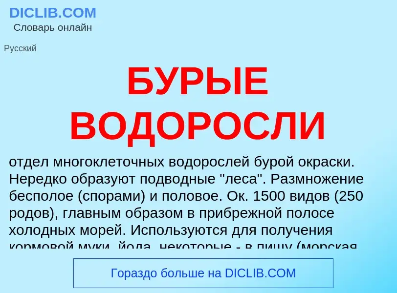 Wat is БУРЫЕ ВОДОРОСЛИ - definition