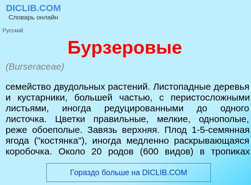 Что такое Бурз<font color="red">е</font>ровые - определение