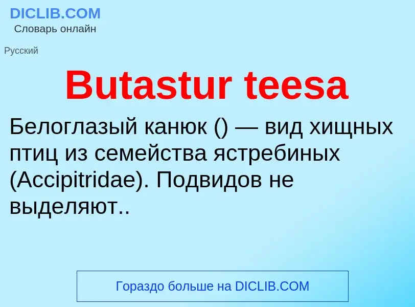 Что такое Butastur teesa - определение