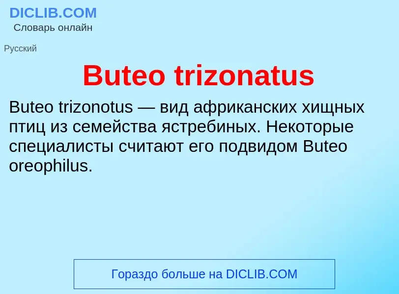 Τι είναι Buteo trizonatus - ορισμός