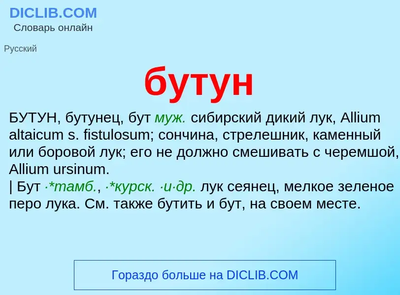 Что такое бутун - определение