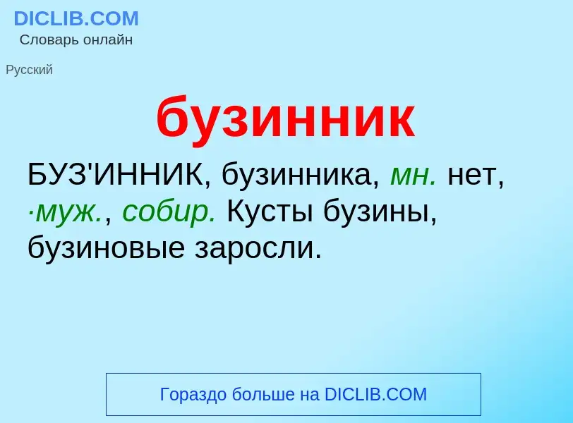 Was ist бузинник - Definition