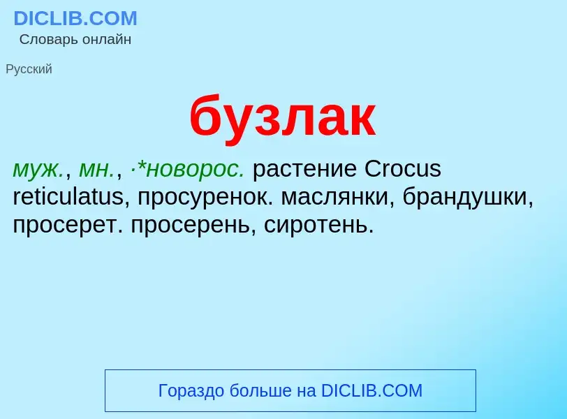 Was ist бузлак - Definition