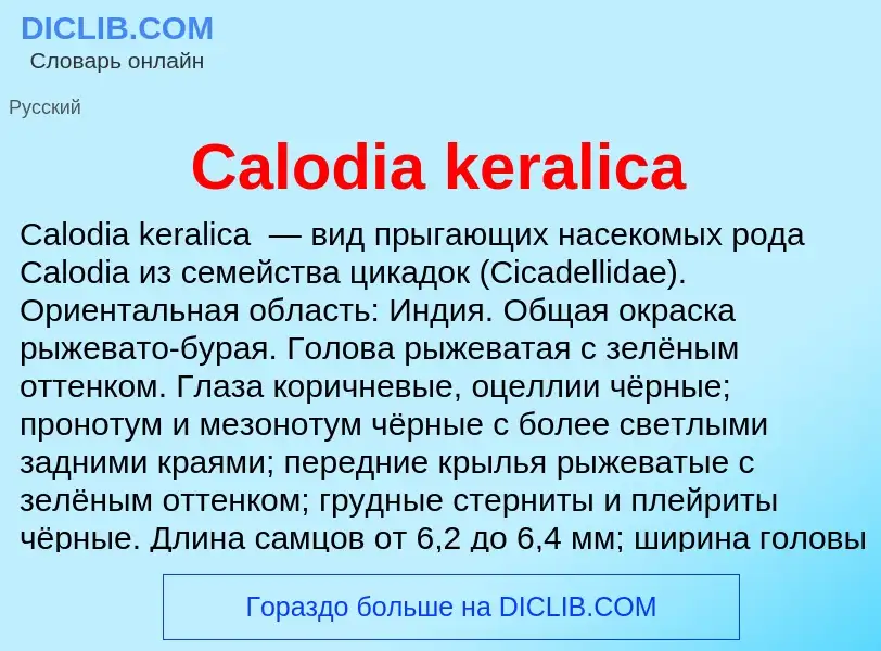 Что такое Calodia keralica - определение