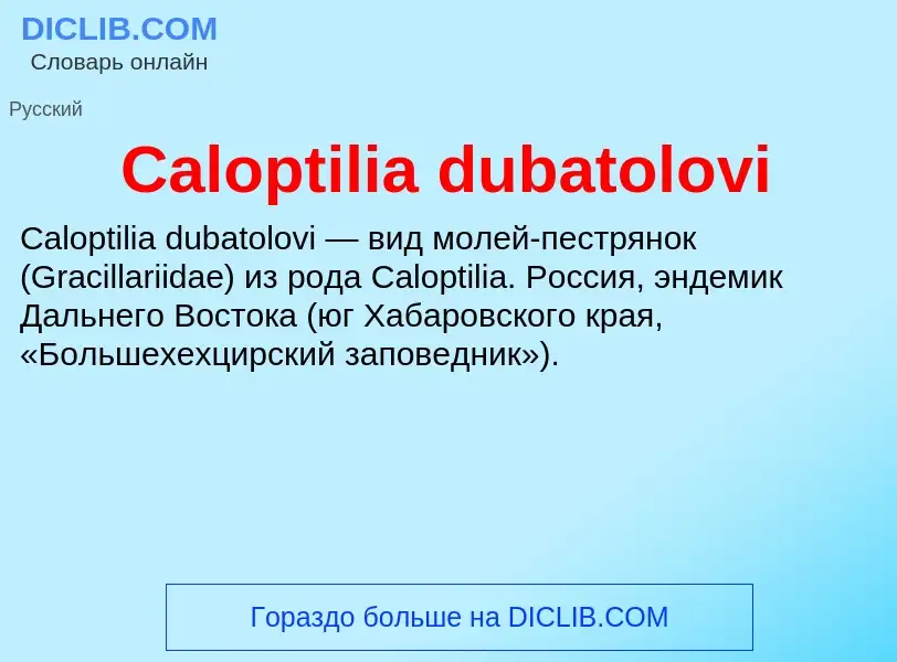 Что такое Caloptilia dubatolovi - определение