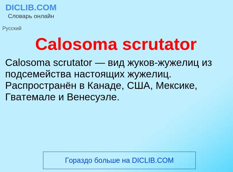 Что такое Calosoma scrutator - определение