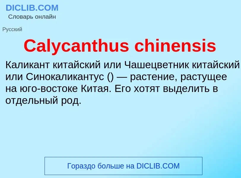 Что такое Calycanthus chinensis - определение