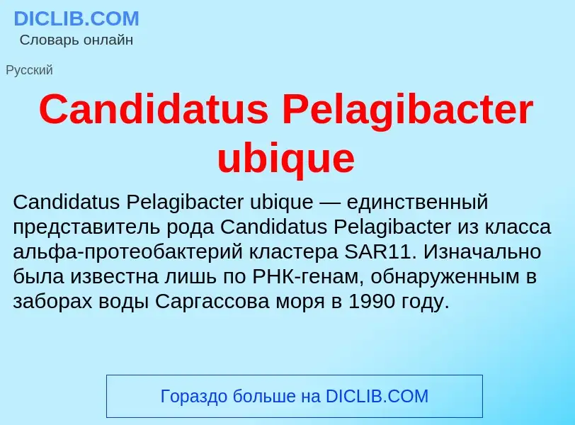 Что такое Candidatus Pelagibacter ubique - определение