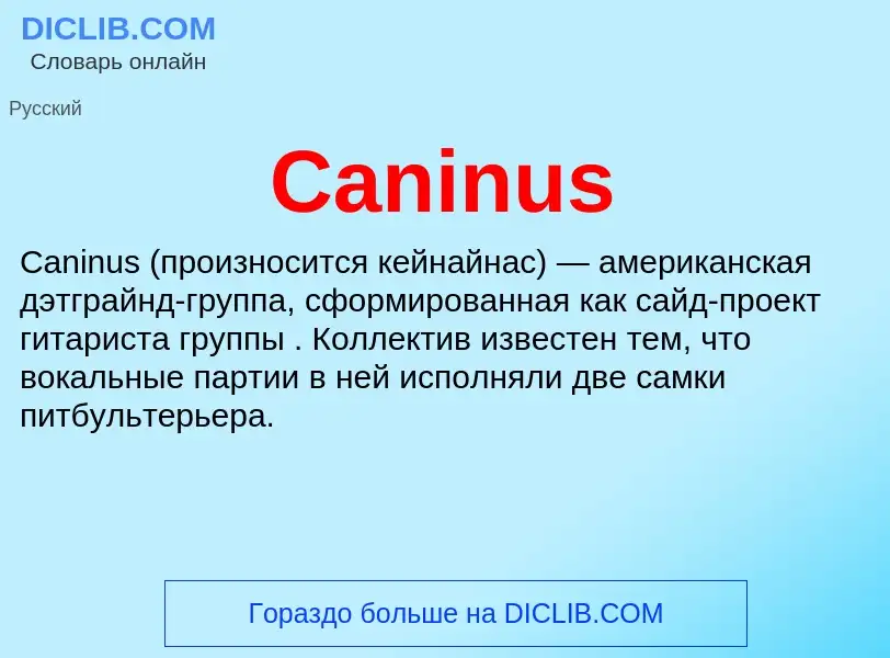 Что такое Caninus - определение