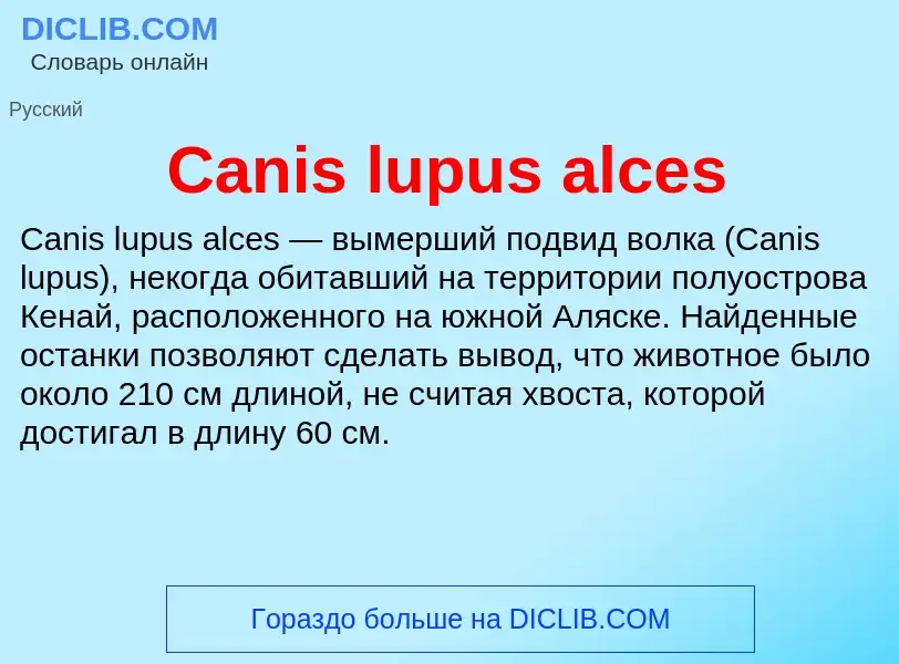 Что такое Canis lupus alces - определение