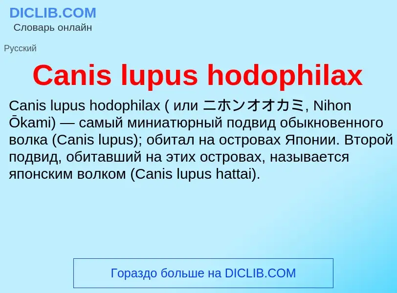 Что такое Canis lupus hodophilax - определение