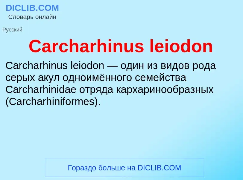 Что такое Carcharhinus leiodon - определение