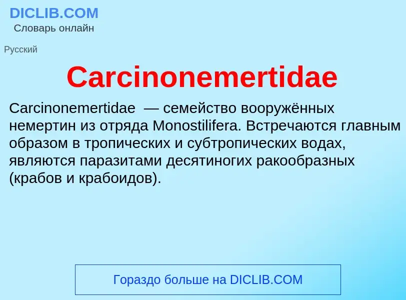 Что такое Carcinonemertidae - определение