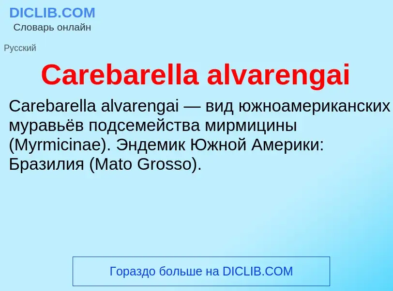 Что такое Carebarella alvarengai - определение