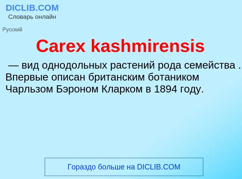 Что такое Carex kashmirensis - определение