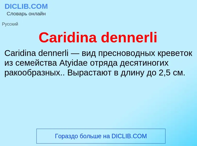 Что такое Caridina dennerli - определение