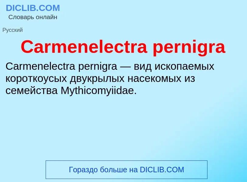 Что такое Carmenelectra pernigra - определение