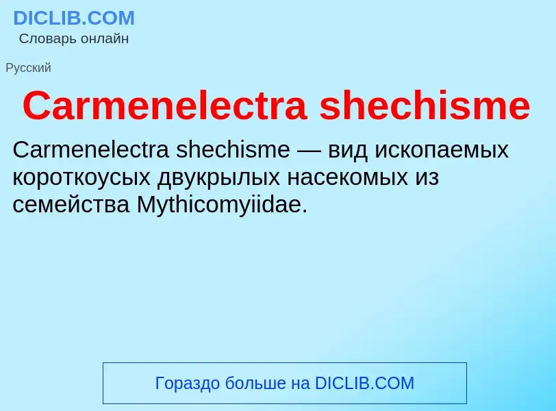 Что такое Carmenelectra shechisme - определение