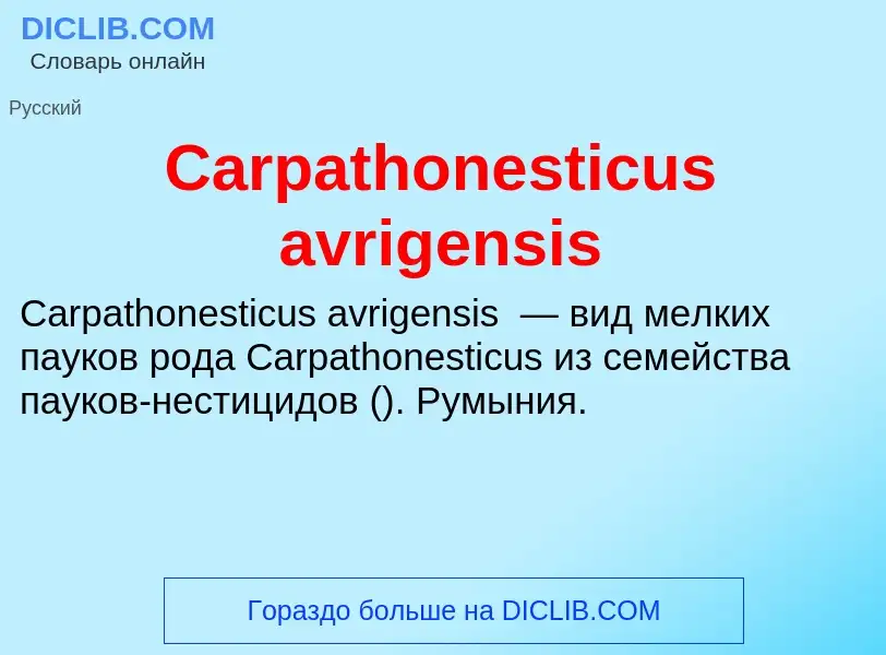 Что такое Carpathonesticus avrigensis - определение