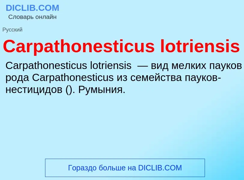 Что такое Carpathonesticus lotriensis - определение