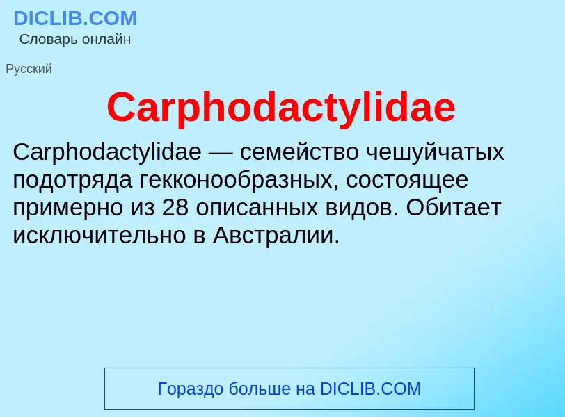 Что такое Carphodactylidae - определение