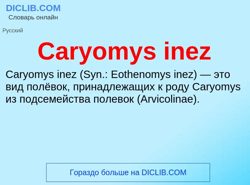 Что такое Caryomys inez - определение