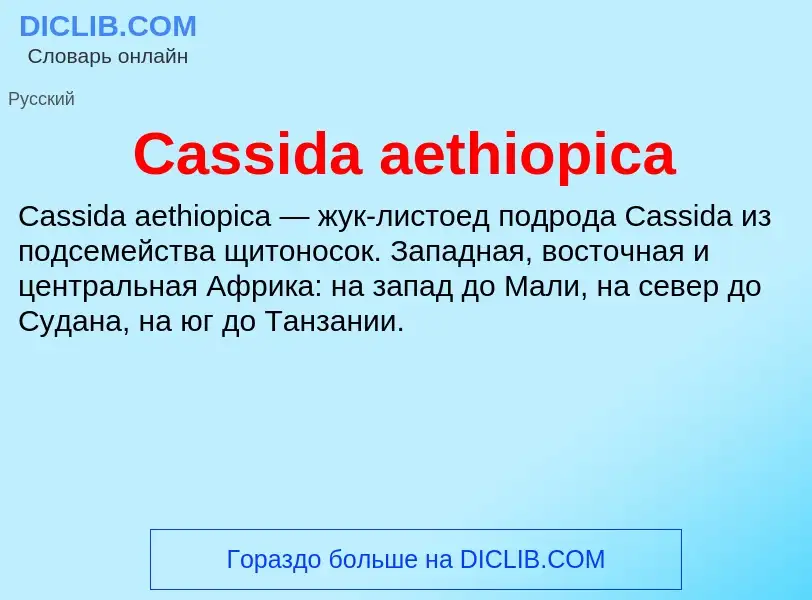 Что такое Cassida aethiopica - определение