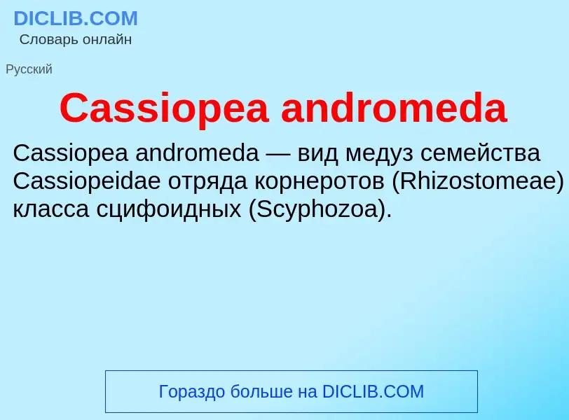 Что такое Cassiopea andromeda - определение