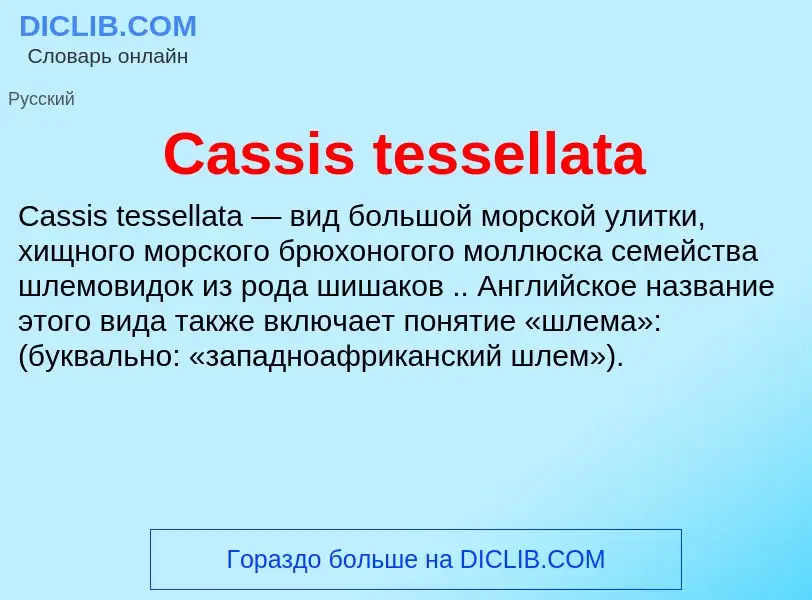 Что такое Cassis tessellata - определение