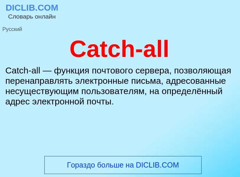 What is Catch-all - meaning and definition