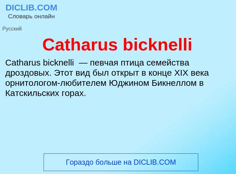 Что такое Catharus bicknelli - определение