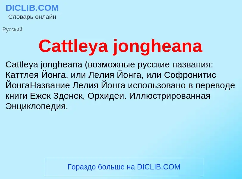 Что такое Cattleya jongheana - определение