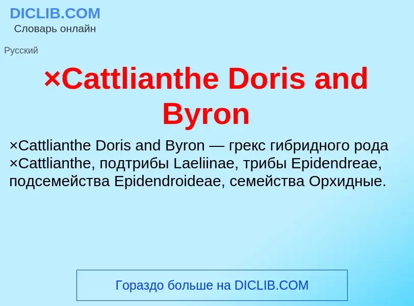 Τι είναι ×Cattlianthe Doris and Byron - ορισμός