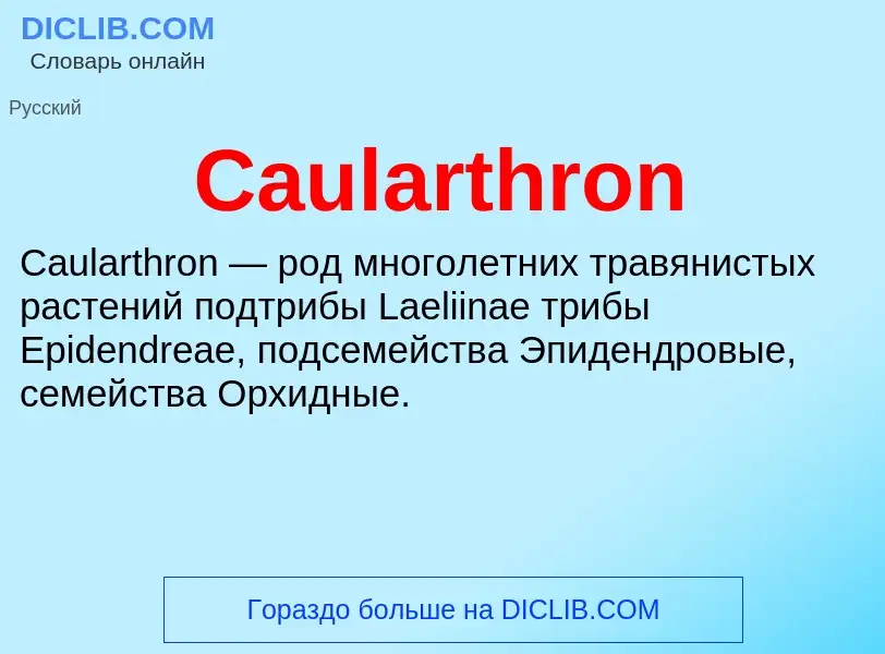 Что такое Caularthron - определение