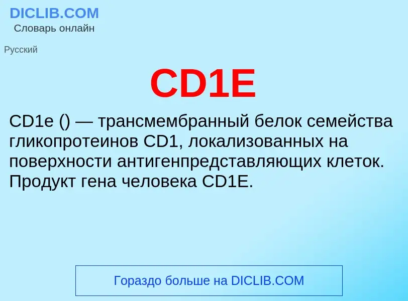 Что такое CD1E - определение