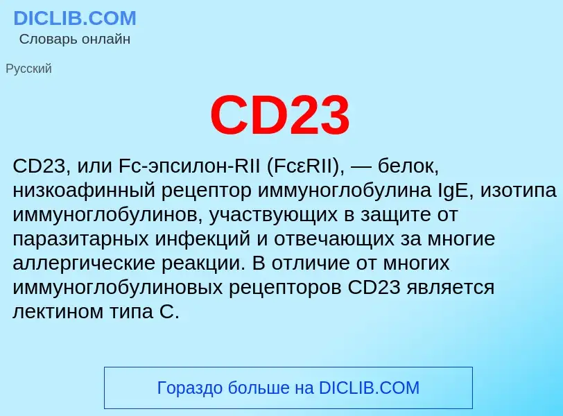 Che cos'è CD23 - definizione