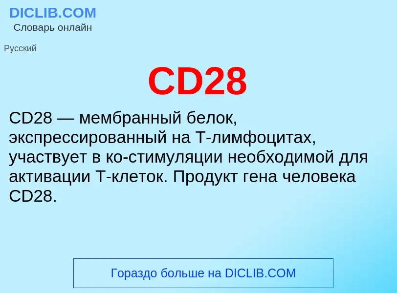 Что такое CD28 - определение