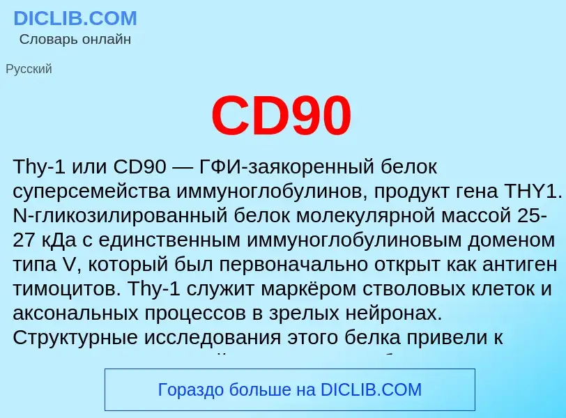 Что такое CD90 - определение