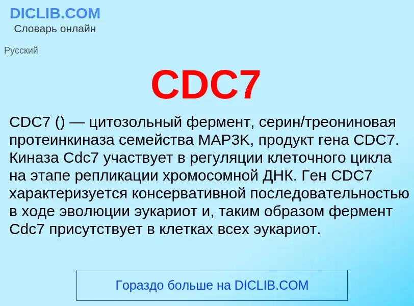 Was ist CDC7 - Definition