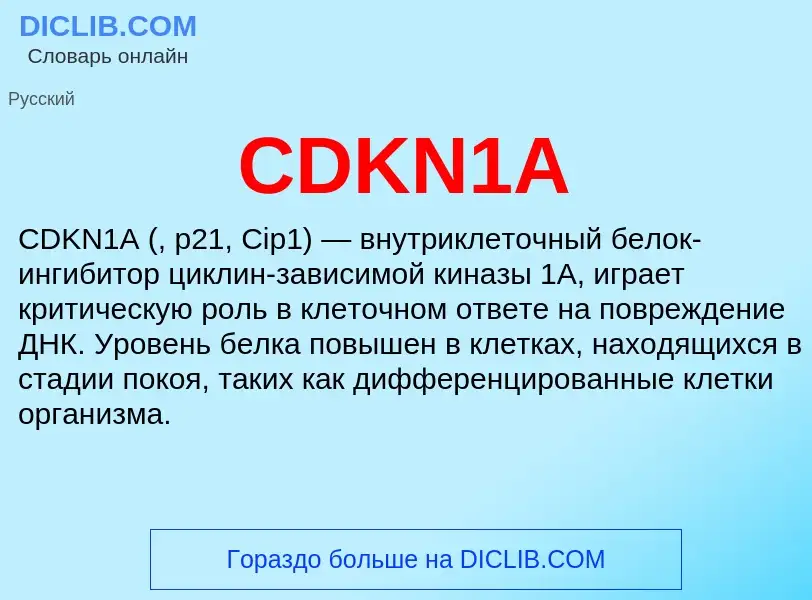 Что такое CDKN1A - определение