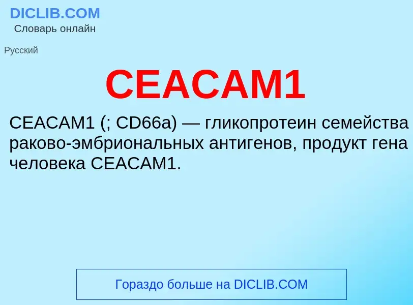 Что такое CEACAM1 - определение