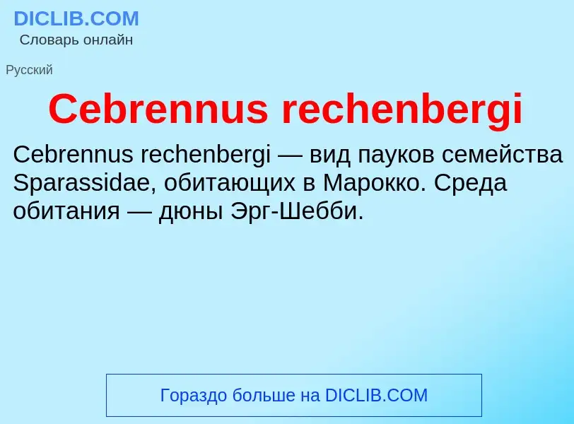 Что такое Cebrennus rechenbergi - определение